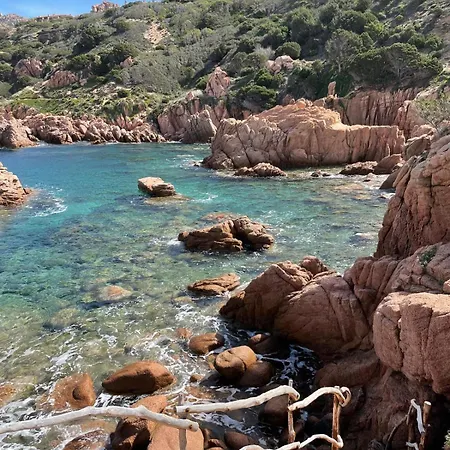 Oliva Costa Paradiso