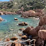 Oliva Costa Paradiso