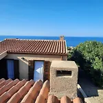 Oliva Costa Paradiso