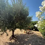 Oliva Feriehus Costa Paradiso