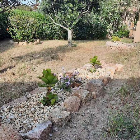 Hébergement de vacances Oliva Costa Paradiso