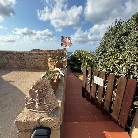 Oliva Costa Paradiso